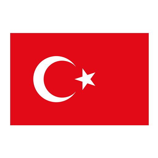 Türkçe